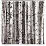 White and black birch shower curtain hanging on a silver rod and plain circle rings.