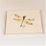 Front packaging of the Seaside Dragonlet card.