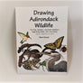 Cover of Drawing Adirondack Wildlife. White book cover with color illustrations of hummingbird, snake, lizard, chipmunk, frog, cricket, heron, butterfly and ladybug.