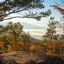 Barry Lobdell's photo card image of morning on Mt. Baker; rocky surface and golden trees in foreground with mist, water and mountains in background
