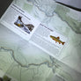 Green Goat Ausable River Fly Fishing Map