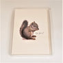 Blank Nature Note Cards