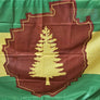 Close-up of Adirondack Park Flag with two green stripes--one top, one bottom. Middle third has a yellow stripe. In the center of these stripes is a brown outline of the Adirondack Park with a yellow evergreen in the center.