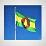 Flag with two green stripes--one top, one bottom. Middle third has a yellow stripe. In the center of these stripes is a brown outline of the Adirondack Park with a yellow evergreen in the center. The flag is displayed on a white flagpole on a blue background.