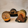 3 coasters sets pictured: left fire coaster holder with two marshmallows on a stick in round coaster center; center back is canoe coaster holder with round coasters with two evergreens slightly off center. On right is tent with feet sticking out coaster holder with round coasters inside with fire in the center.