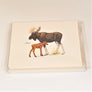 Cover of the nature card packaging with Moose and Calf on the front