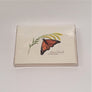 Blank Nature Note Cards