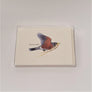 Blank Nature Note Cards