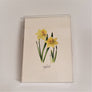 Blank Nature Note Cards