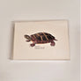 Blank Nature Note Cards