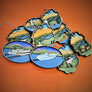 Oval and Adirondack Park shaped ornaments spread on an orange background. In the foreground from left to right is a pontoon boat ornament, a motor boat, a moose and a pair of Adirondack chairs. Above those from right to left a loon and a paddler ornament. Above that from left to right only the blue water and golden sky can be seen furthest to the left then a standing paddler and a hiker.