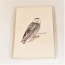 Front of the Snowy Owl packaging with card showing through.