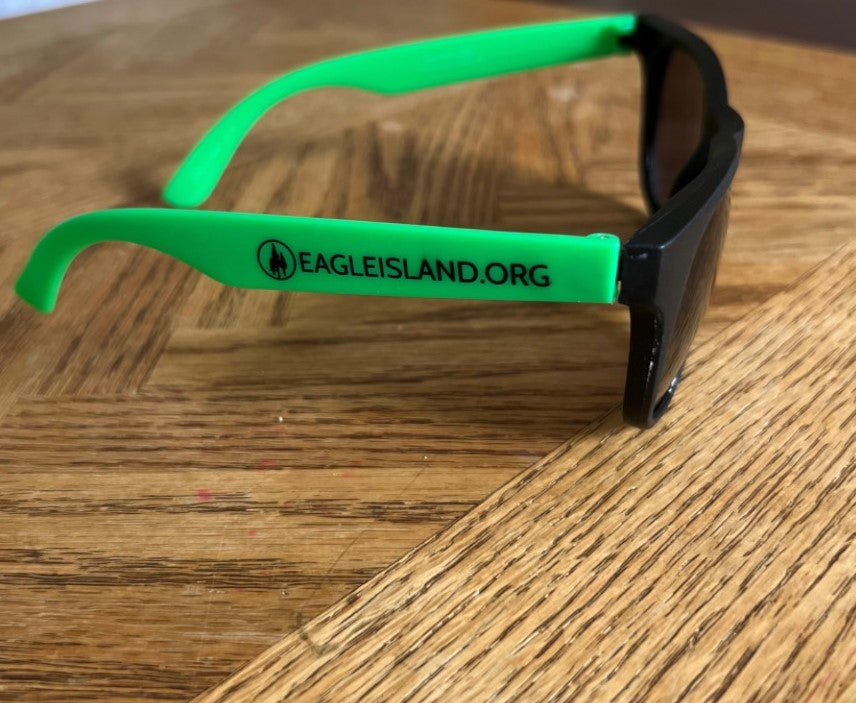 Eagle Island Retro Youth Sunglasses