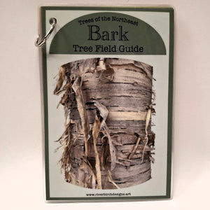 Northeast Bark Tree Field Guide