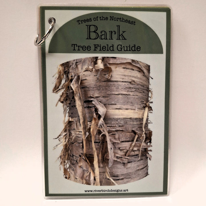 Northeast Bark Tree Field Guide