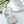 Spice Infuser