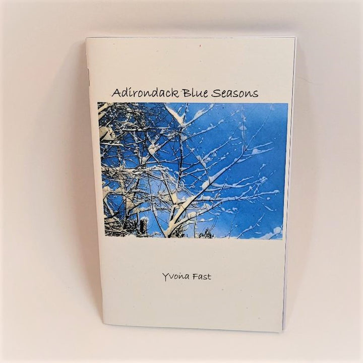 Cover of Adirondack Blue Seasons. Black title type above a photograph of snow topped tree branches on a blue sky background. Below the photo black type: Yvona Fast. All on a white background.