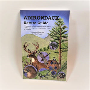 Cover of the Adirondack Nature Guide featuring illustrations of a buck, hawk, dragonfly, frog, squirrel and flora and fauna set on a pale green moutnainside.