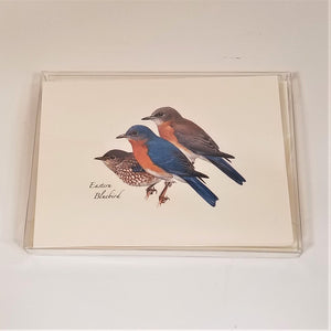Close up of nature cards depicting 3 birds: with text that says Eastern Bluebird