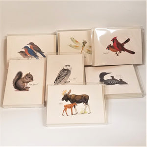 7 boxes of nature notecards displayed together in their clear packaging. All cards are cream colored: top left birds, dragonfly, cardinals over loons, owl and squirrel with a box featuring a moose and calf in the center bottom