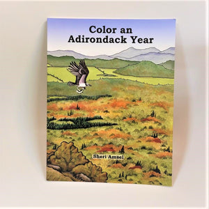 Cover of the book Color an Adirondack Year with lots of green mountains and meadows and bird in flight.