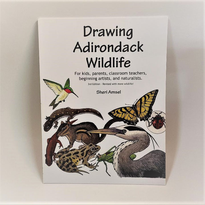 Cover of Drawing Adirondack Wildlife. White book cover with color illustrations of hummingbird, snake, lizard, chipmunk, frog, cricket, heron, butterfly and ladybug.