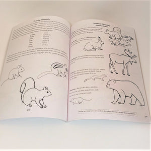 Drawing Adirondack Wildlife, Third Edition by Sheri Amsel
