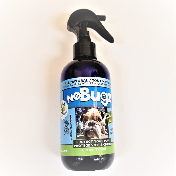 Bottle of No Bugz insect repellent for pets. Black spray top on a blue-rounded bottle.