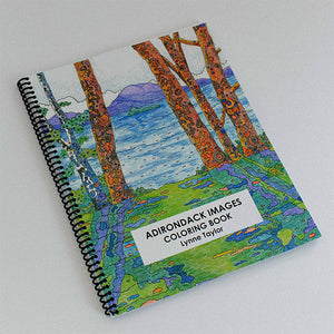 Book cover featuring colorful impressionist view of Adirondack lake and mountains