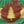 Close-up of Adirondack Park Flag with two green stripes--one top, one bottom. Middle third has a yellow stripe. In the center of these stripes is a brown outline of the Adirondack Park with a yellow evergreen in the center. 