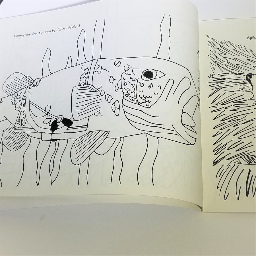 Page from inside the book featuring an Adirondack fish