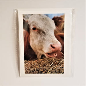 It's Just Me Photo Note Card: Just Be Cowz...