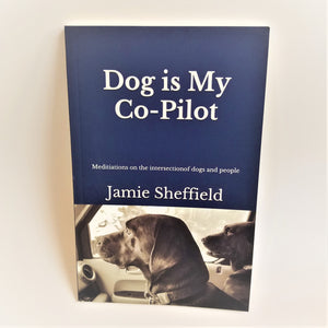 Cover of the Jamie Sheffield book Dog is My Co-Pilot. Solid navy top with white text and two dogs seen below looking through a window.
