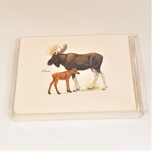 Cover of the nature card packaging with Moose and Calf on the front